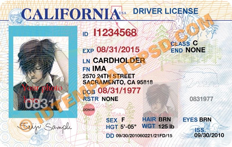 blank drivers license template free